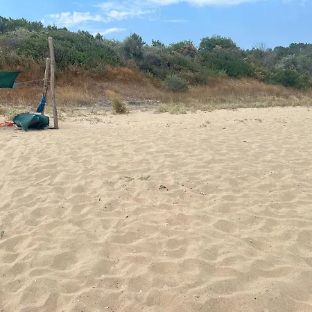 Οργανωμένο κάμπινγκ палатка на кара дере Byala (Varna)